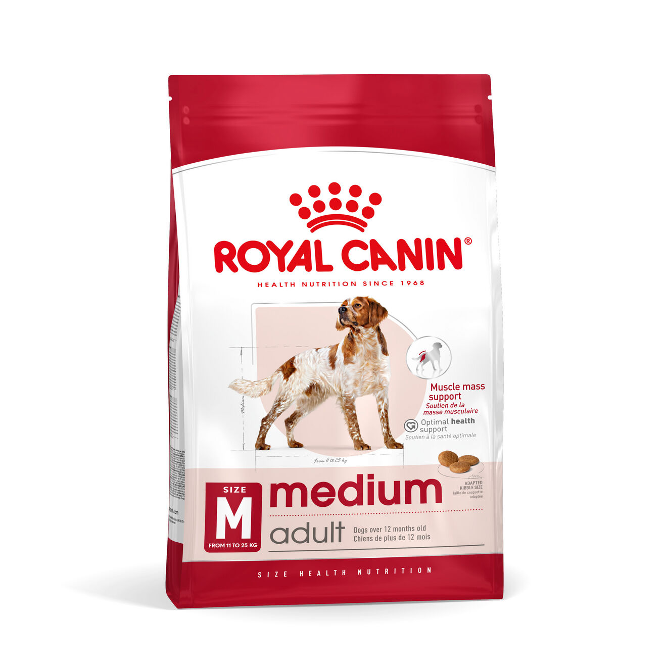 Medium Adulto