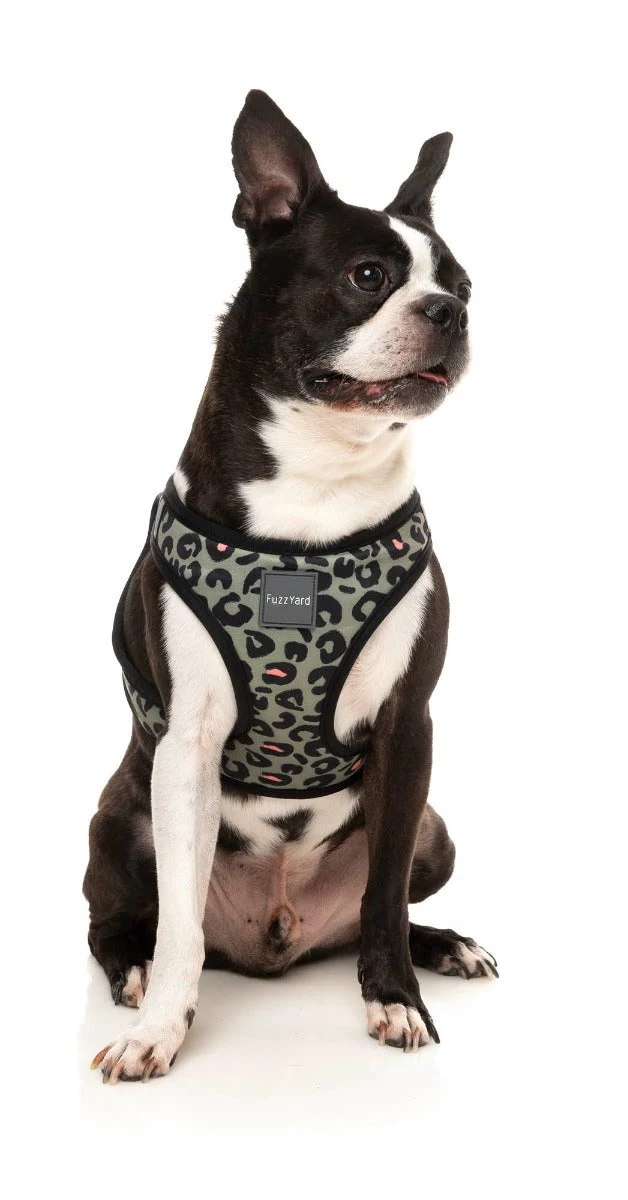 Savanna - Step In Harness
