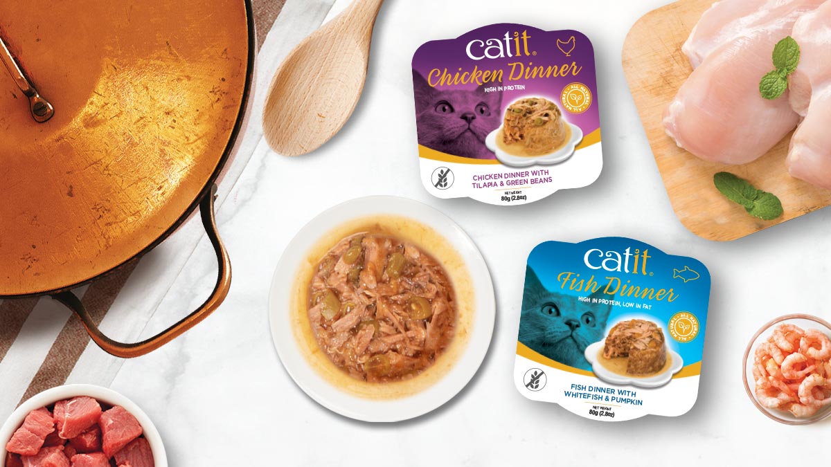 Catit Dinner