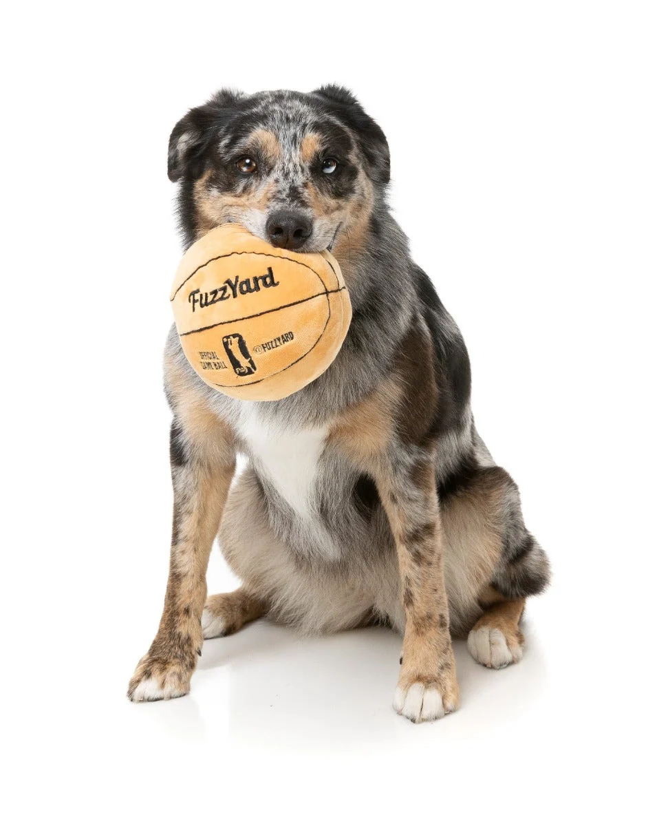 Basketball - Dog Toy