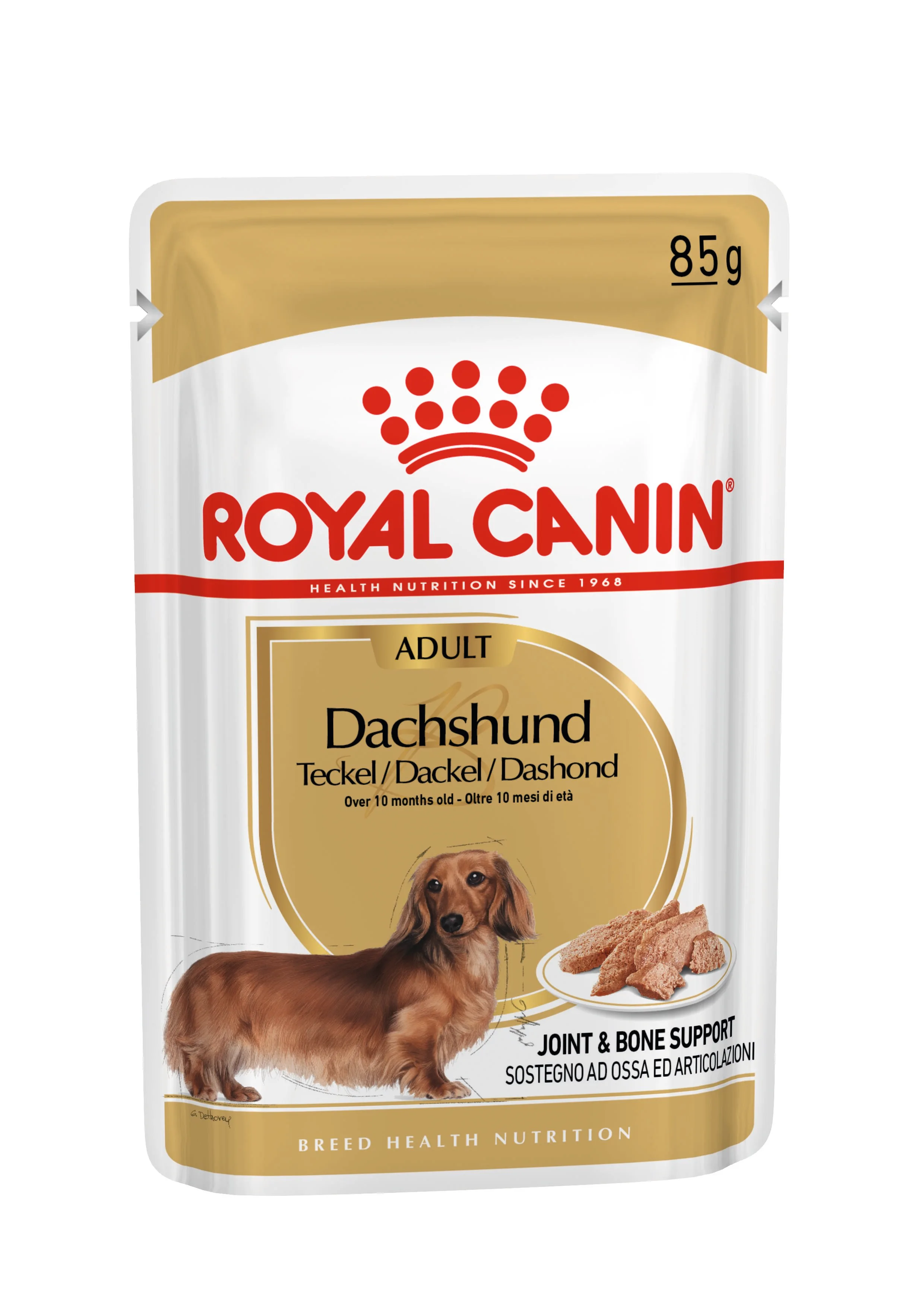 Dachshund Alimento Húmedo
