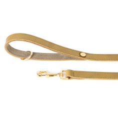 Green Ginevra Correa en Leather con Gold Finishes