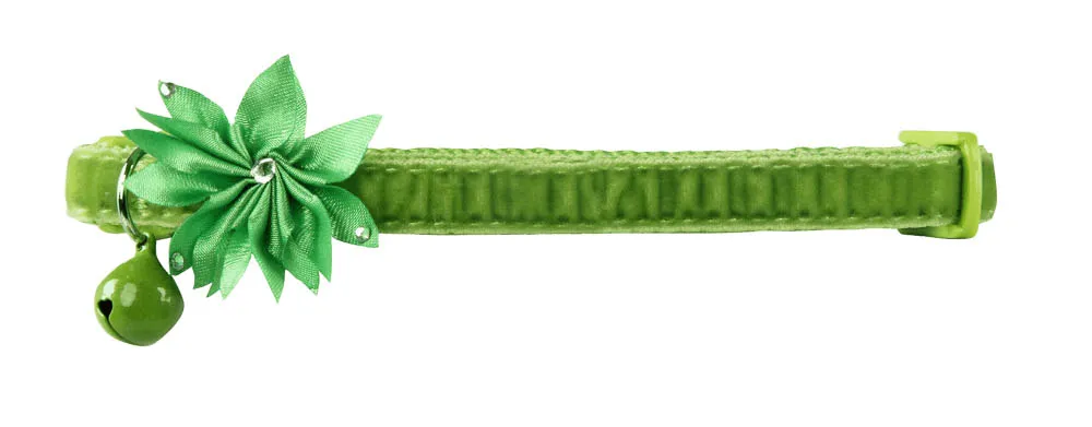 COLEIRA FLOWER (VD)