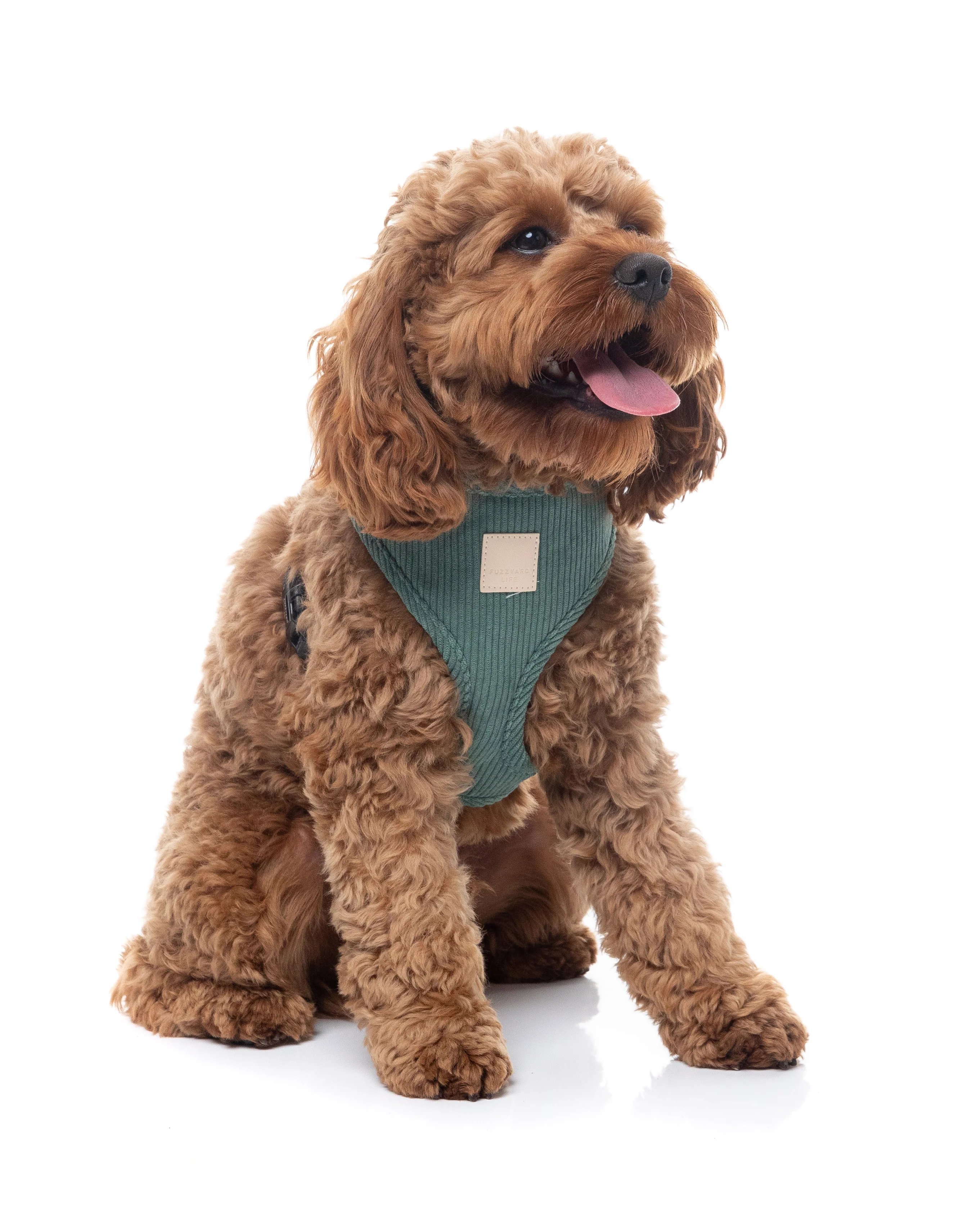 FuzzYard Life Corduroy Step In Harness - Myrtle Green