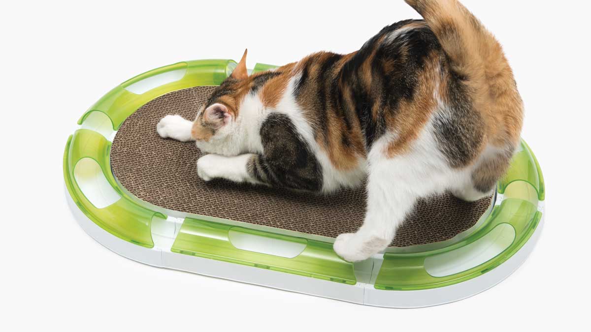 Senses Oval Scratcher