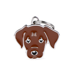 Friends Chocolate Labrador ID Tag