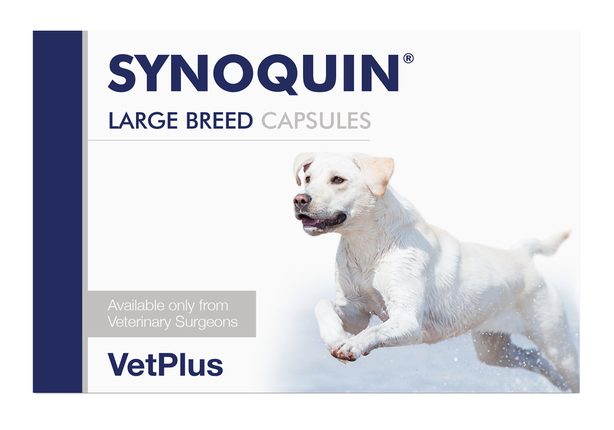 SYNOQUIN® LARGE BREED CAPSULES