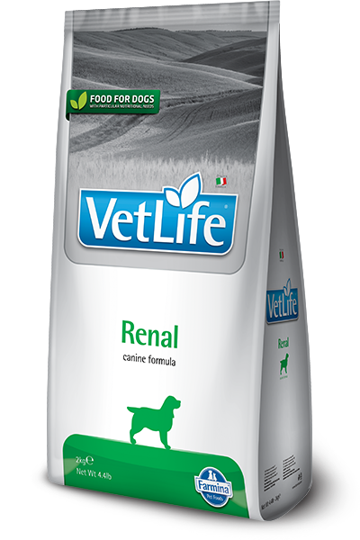 Renal canine