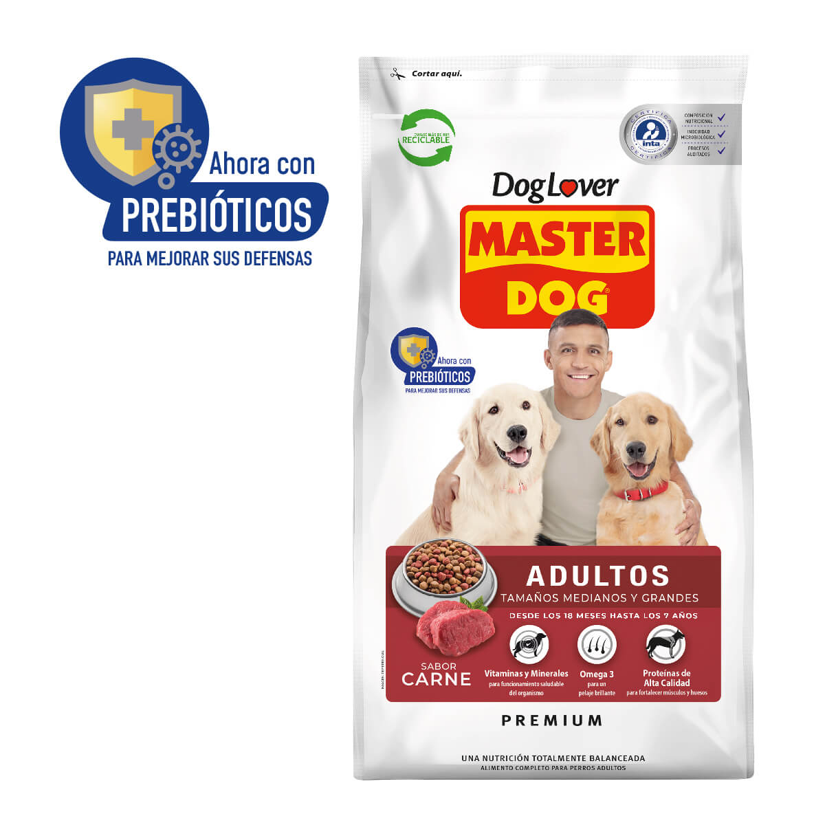 Master Dog adulto sabor carne