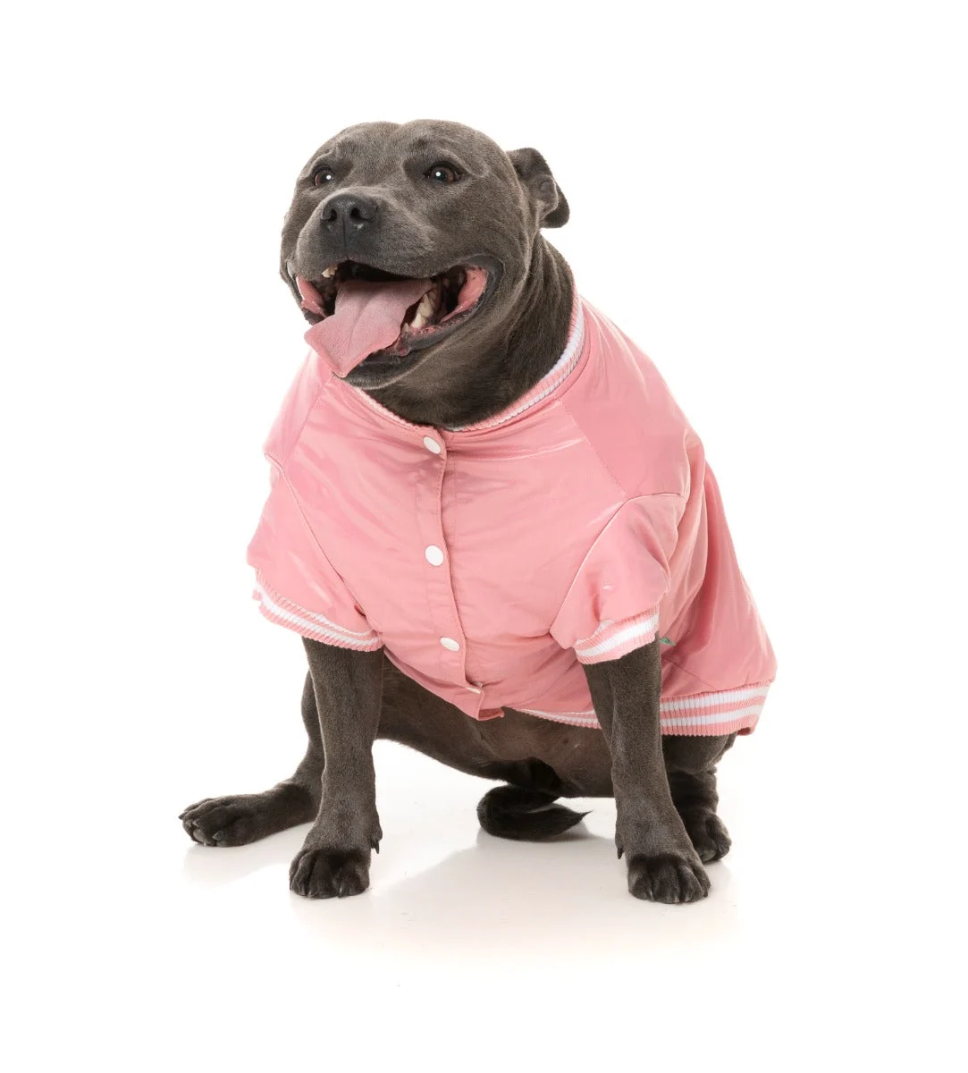 Fastball Jacket - Pink
