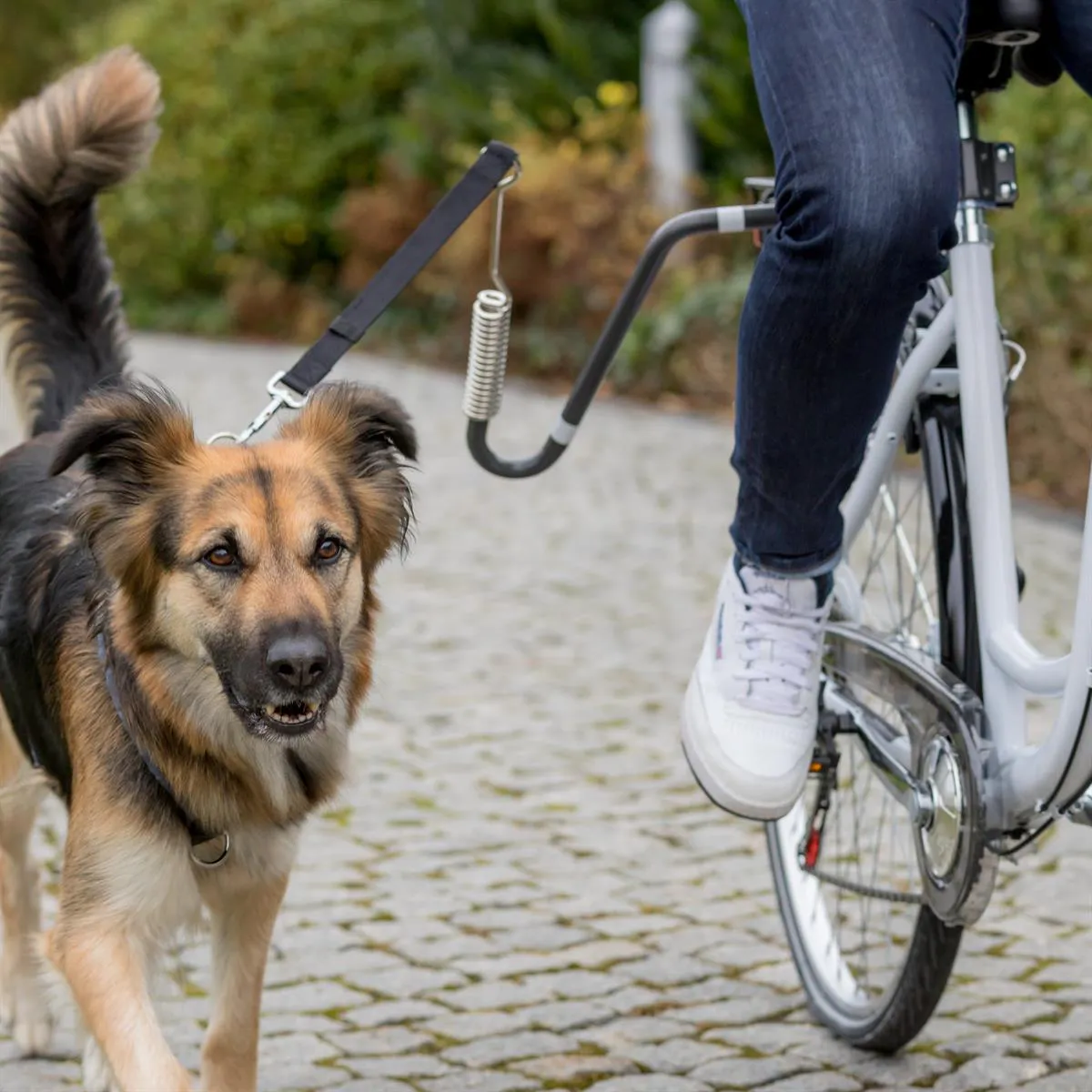 SUPORTE COM GUIA PARA PASSEIO DE BICILET