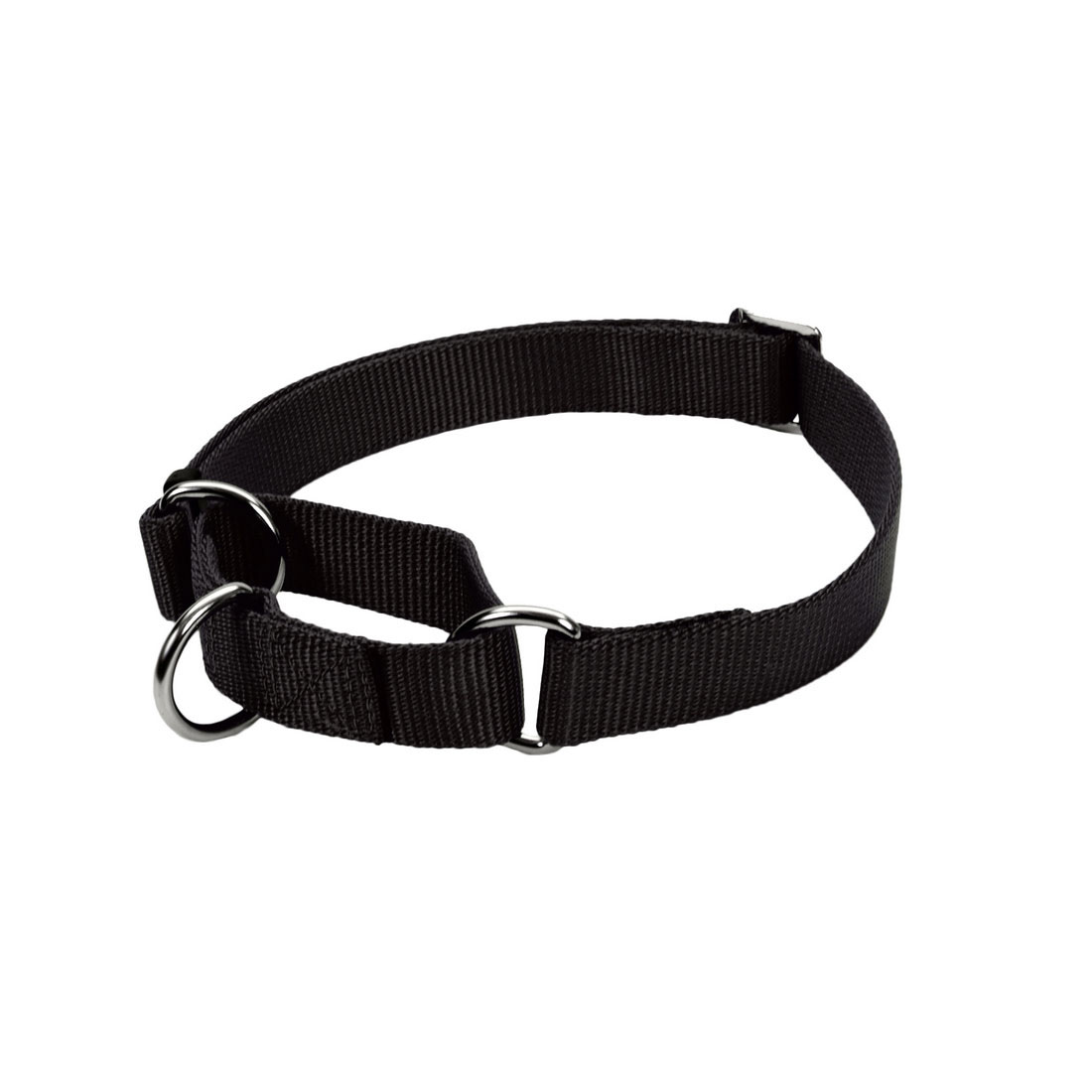 No! Slip Martingale Adjustable Dog Collar