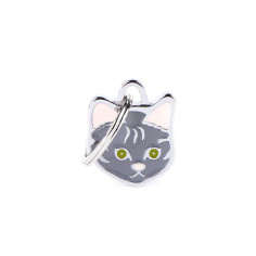 Friends Tabby European Cat ID Tag