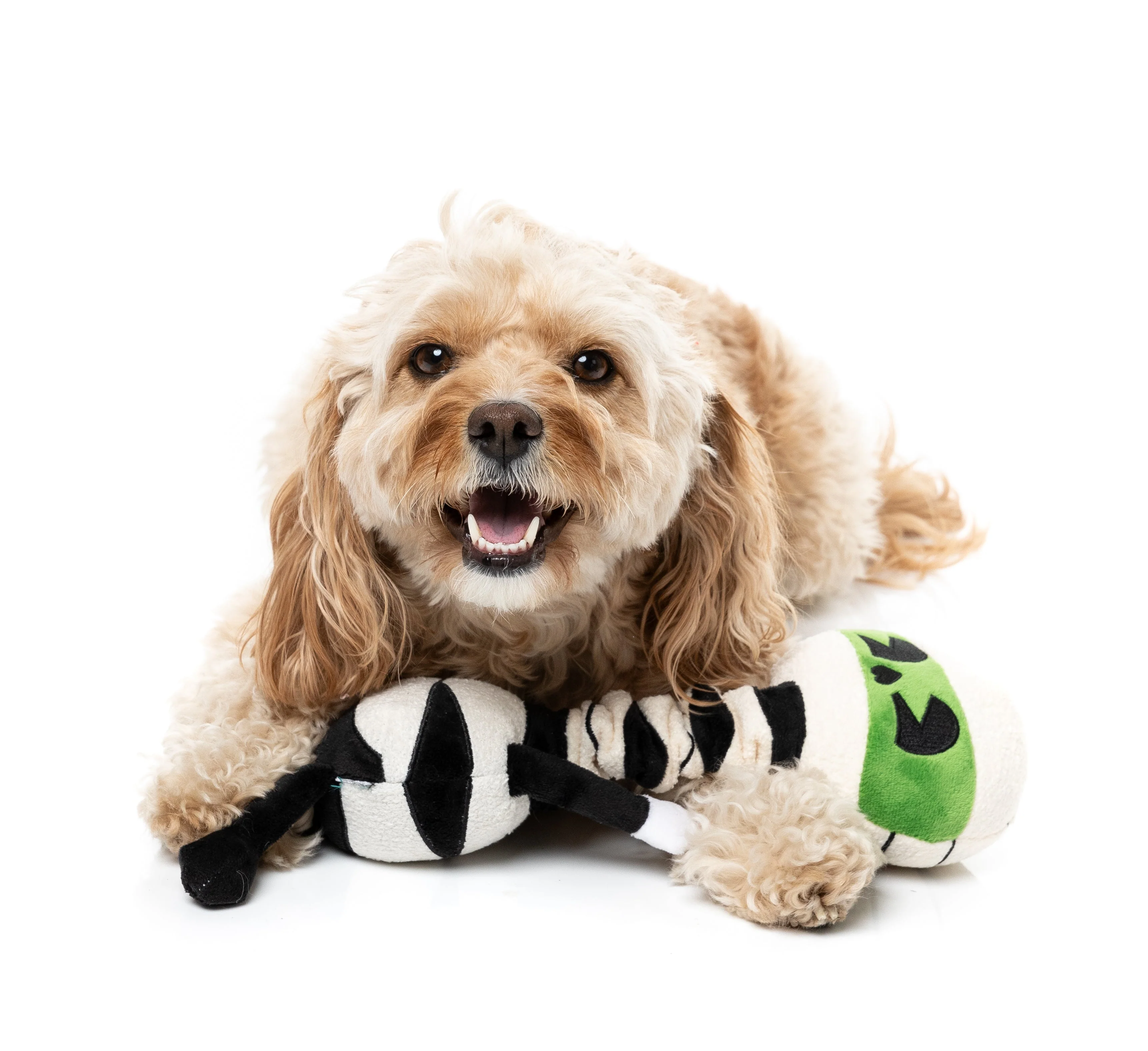 FuzzYard Dog Toy - Rick Wrapsley