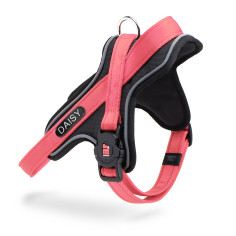 memopet® ID Customizable Pink Y-Harness