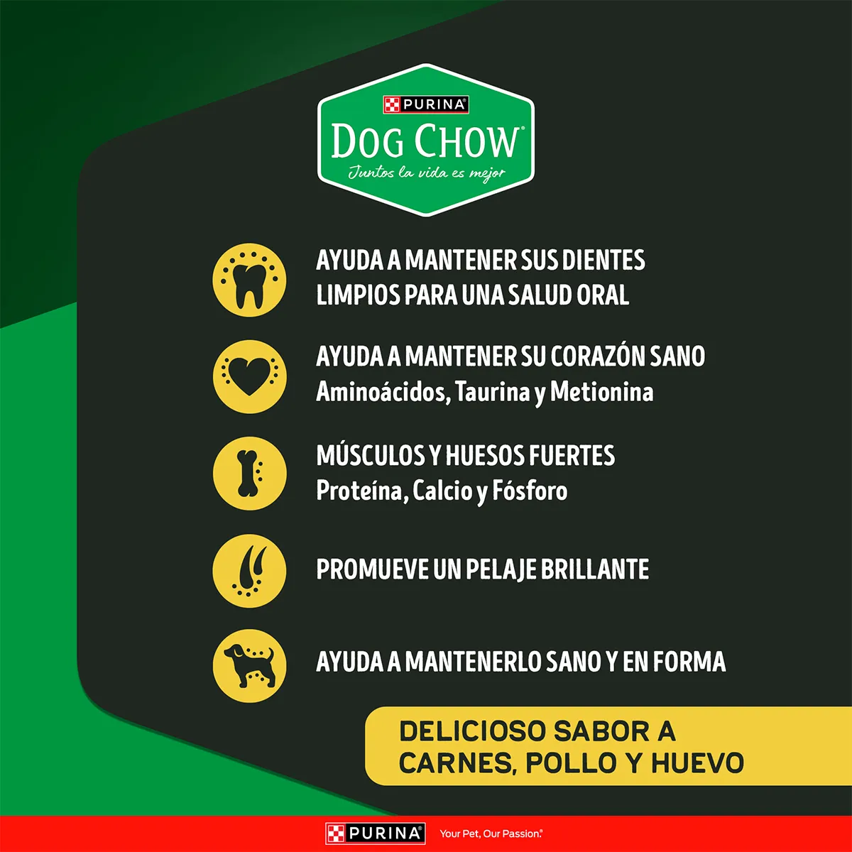 Dog Chow Alta Proteína: alimento alto en proteína para perro