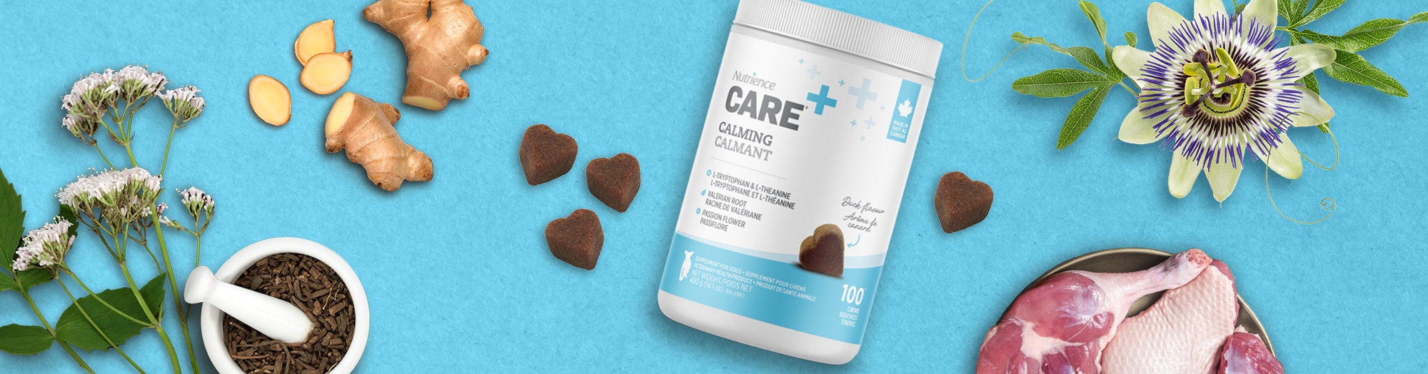 Calming Dog Supplement