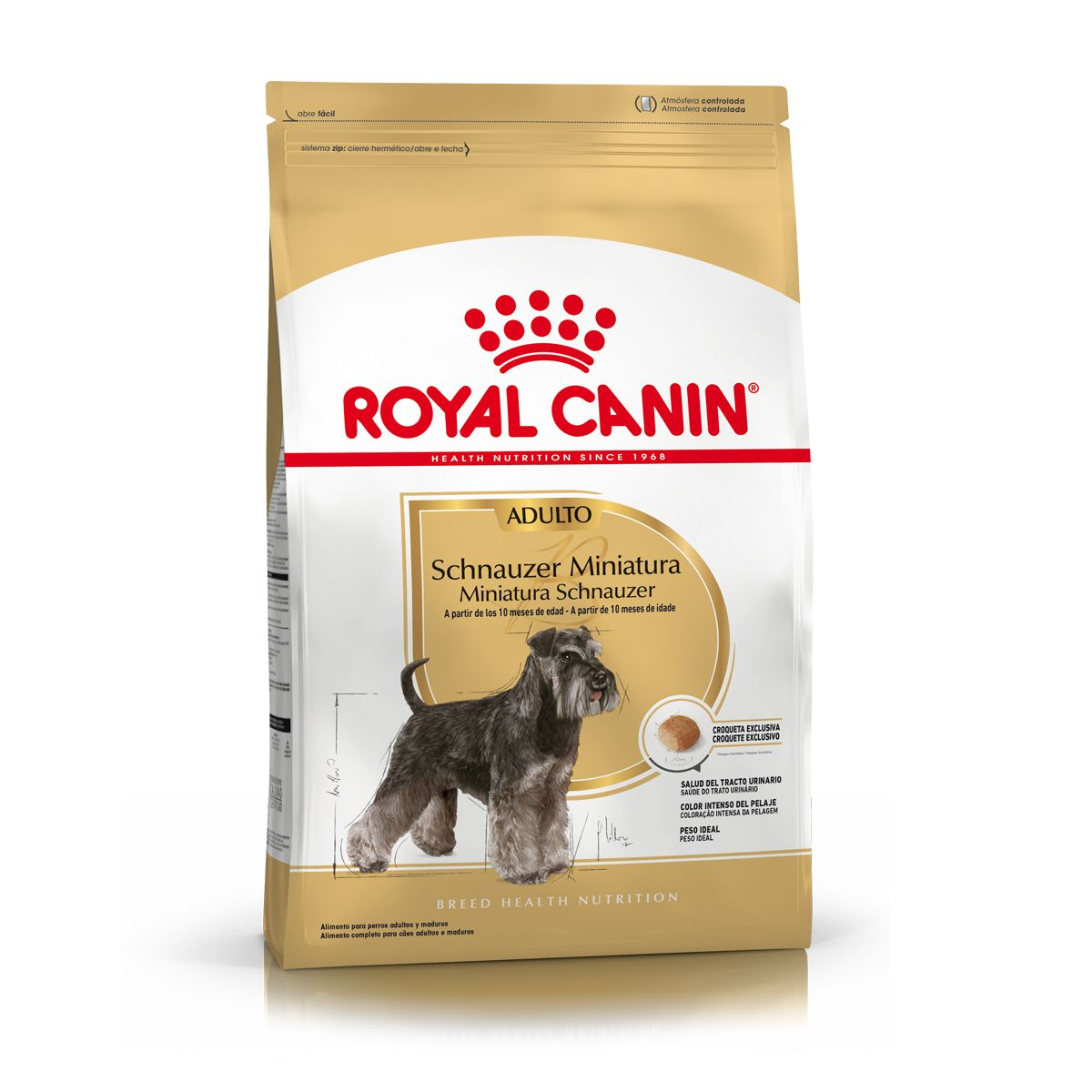 Schnauzer Miniatura Adulto