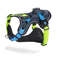 memopet® ID Customizable Color Block H-Harness