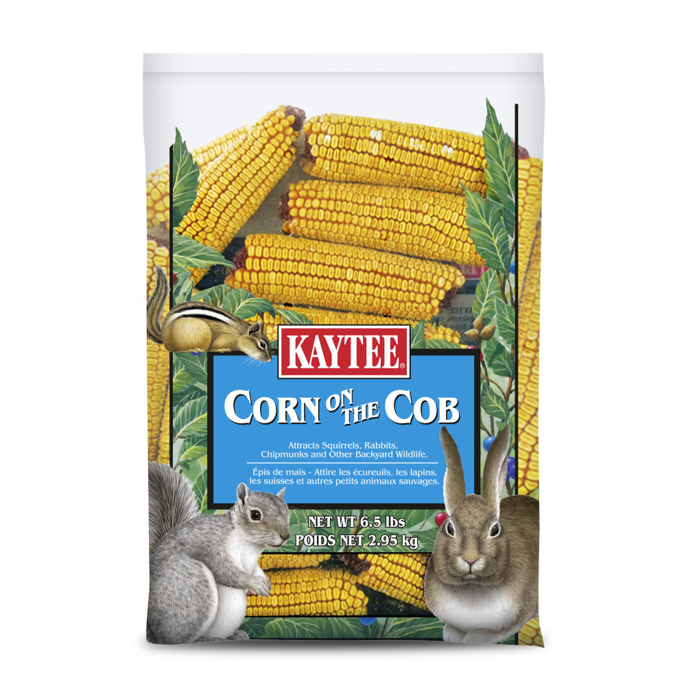 Kaytee Corn on the Cob