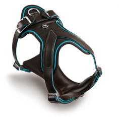 Brown y Turquoise Hermitage H-Harness en Genuine Leather