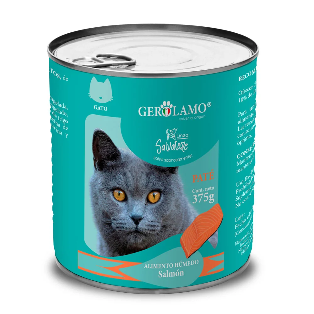 Gerolamo Salvatore lata gato adulto