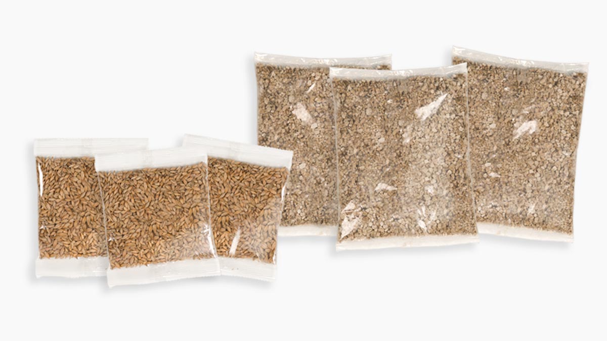 Senses Grass Kit para Gato