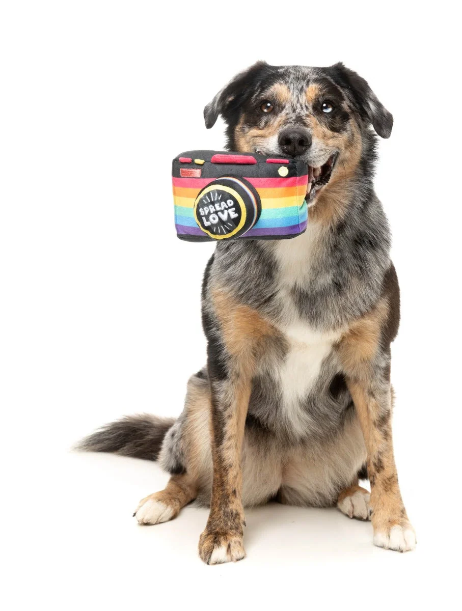 Spread Love Camera - Dog Toy